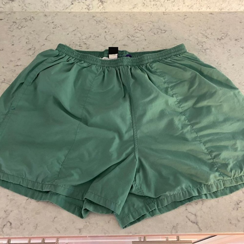 Patagonia Men's Swim trunks, Large, light teal green with liner